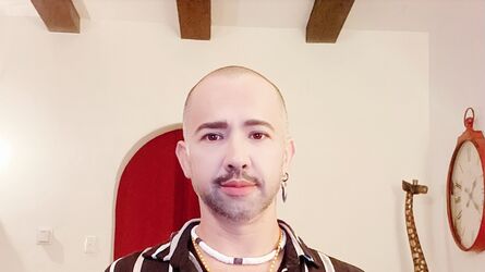 thehealingbear